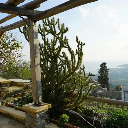 Villa Alba Andros Studio Lamira