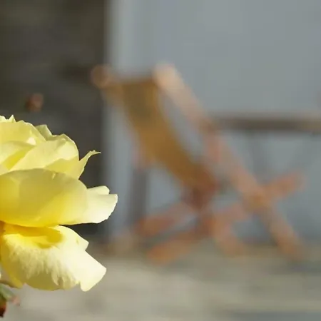 Villa Alba Andros Studio Lamira